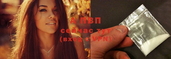 прущие грибы Елабуга