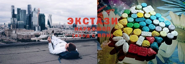сатива Туринск