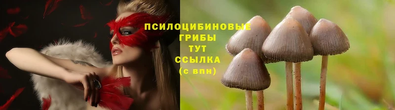 цены наркотик  Азов  Галлюциногенные грибы Magic Shrooms 