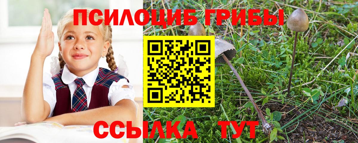 Галлюциногенные грибы Cubensis Азов
