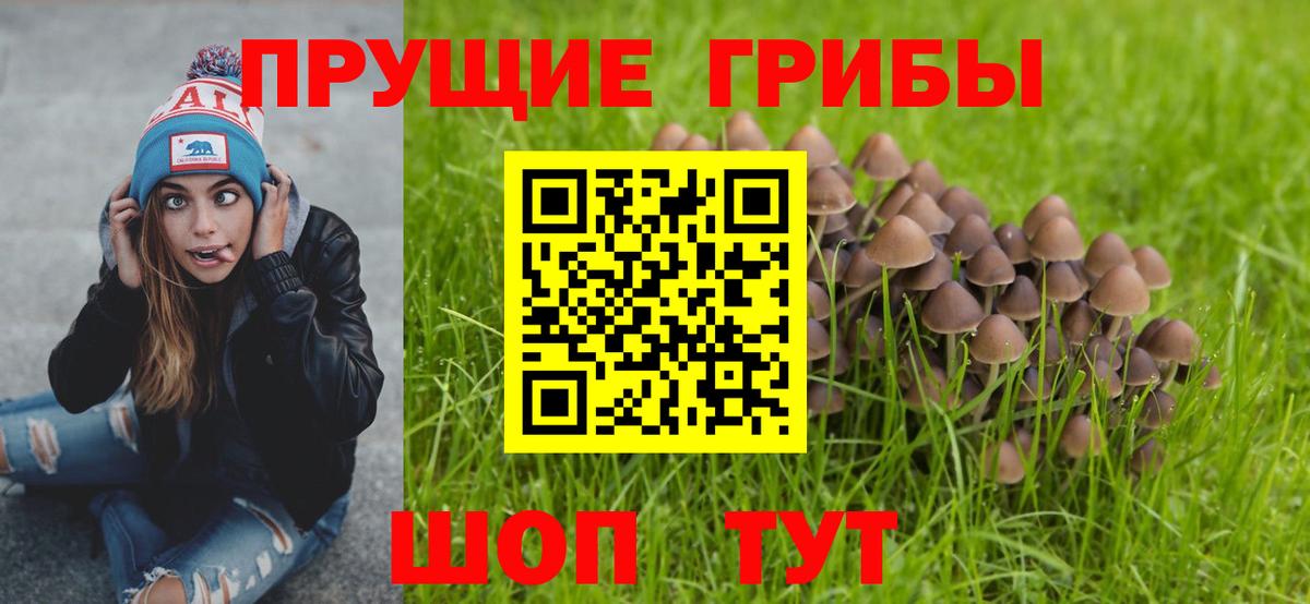 Псилоцибиновые грибы мухоморы  Вход с VPN  Азов 